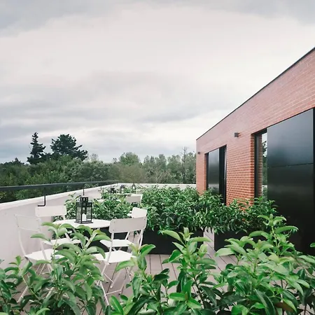 Albergue Plea House Loredo