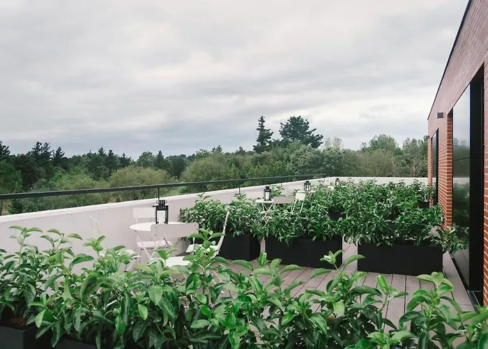 Albergue Plea House Loredo