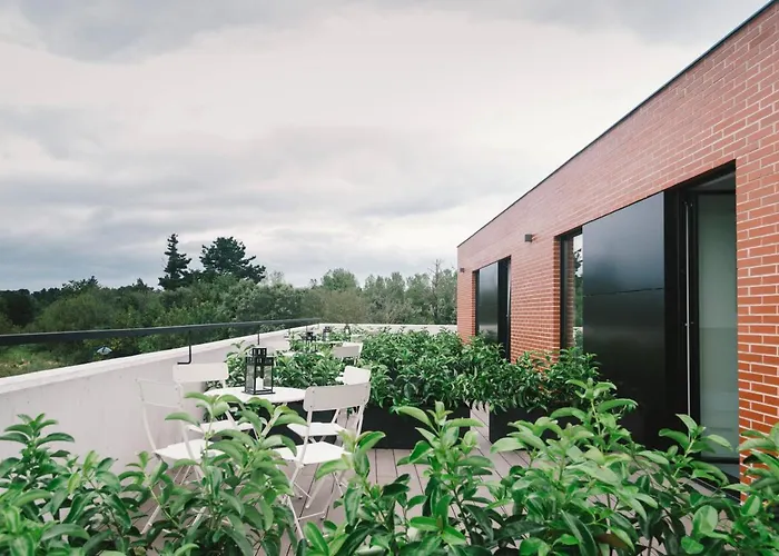 Albergue Plea House Loredo