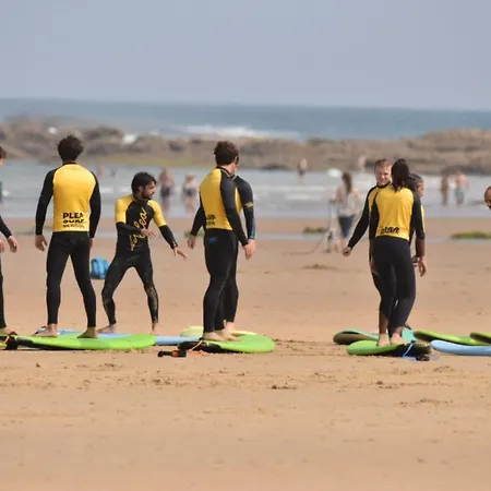 Vandrarhem Plea House *