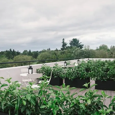 ホステル Plea House ロレド