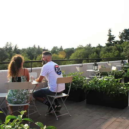 Plea House * ロレド